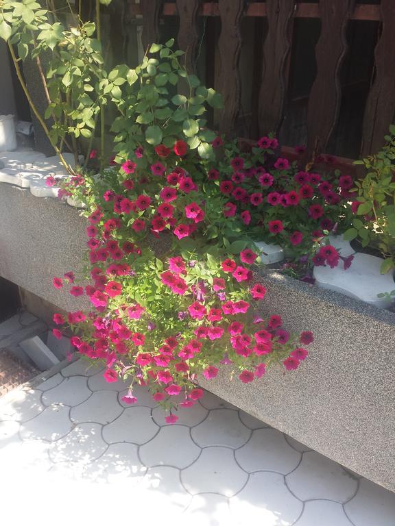 Apartment A&D Панчево Екстер'єр фото